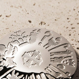 styled image of silver history of ireland brooch S1655