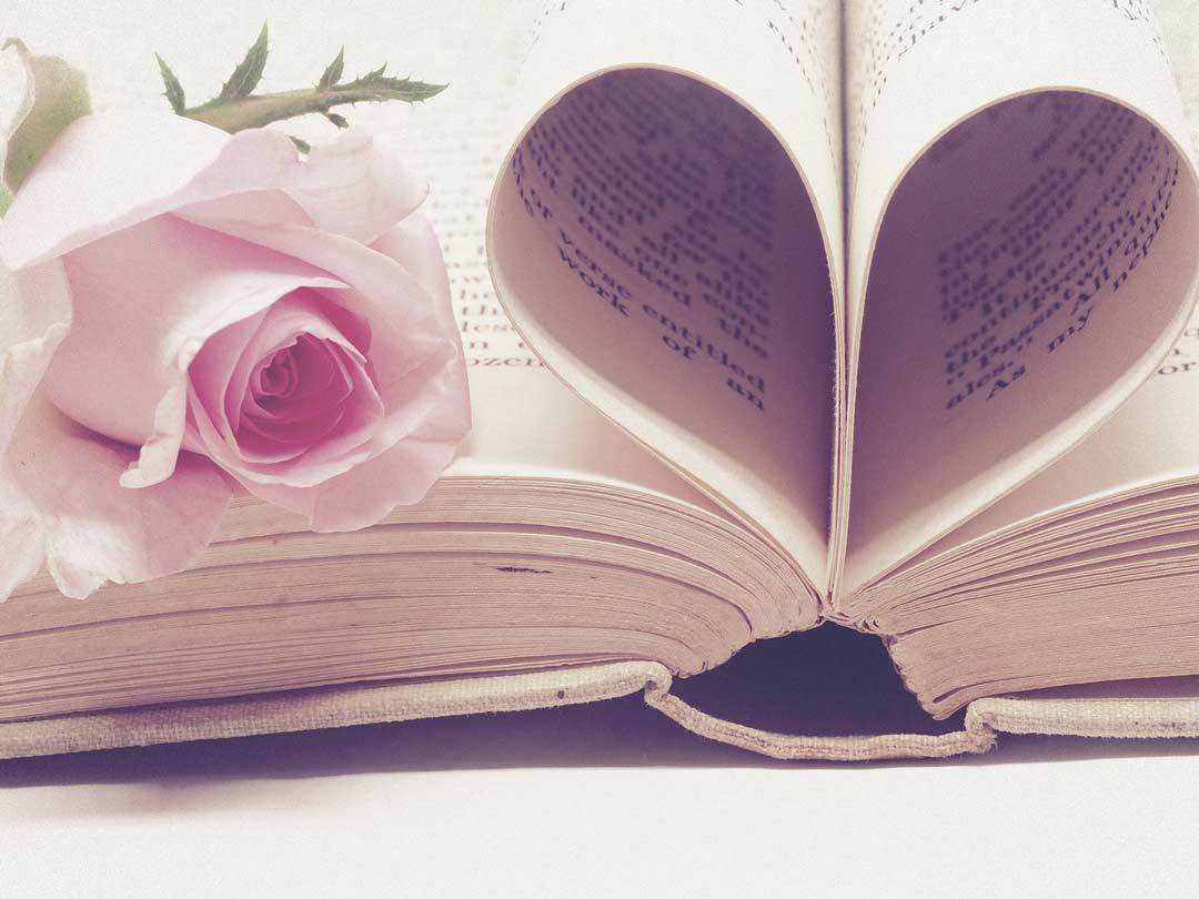 a pink rose laying on the pages of open book